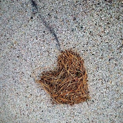 Photo: Anthony Arciero