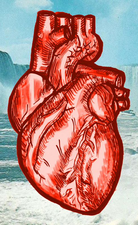 johanna goodman heart