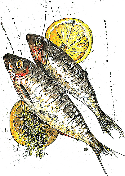 sardines