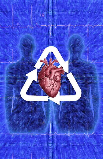 Photo illustrating organ donation using a recycle symbol