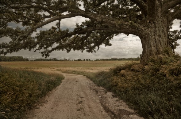 crisman_suitcase_girl_001-590x390