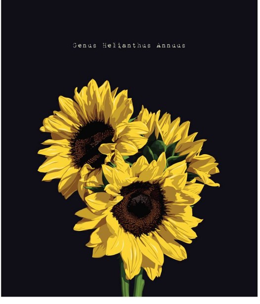 Sunflowers by Chris Lyons