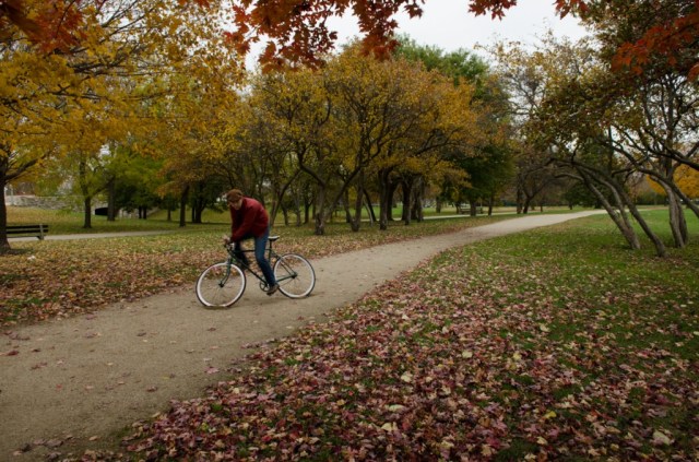 Fall_Cyclist_Or-1024x678