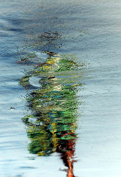 Copyright by Leslie Jean-Bart