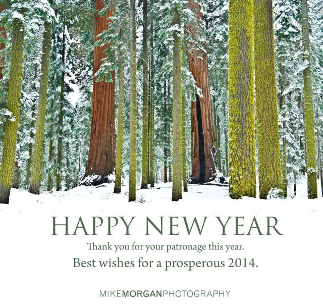 Copyright Mike Morgan Photography