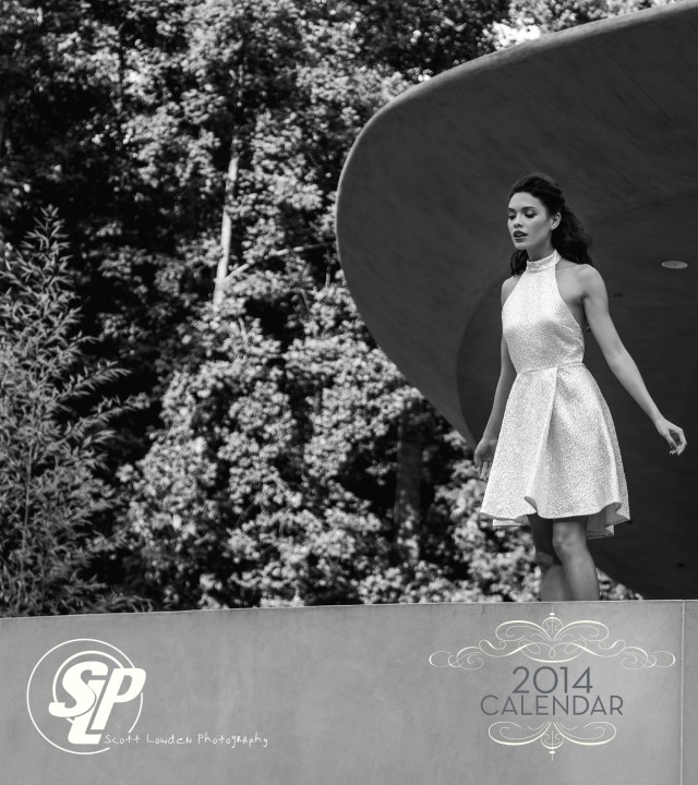 Copyright by Scott Lowden