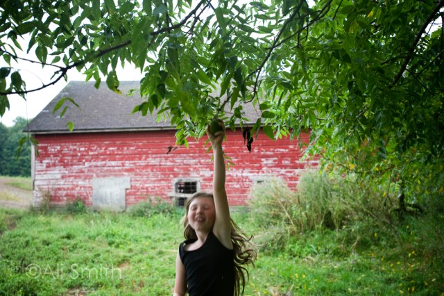 AliSmith_JulieOlson_tree4