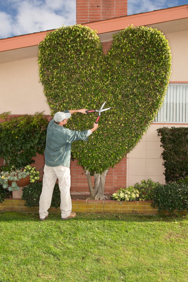 Photography by David Zaitz