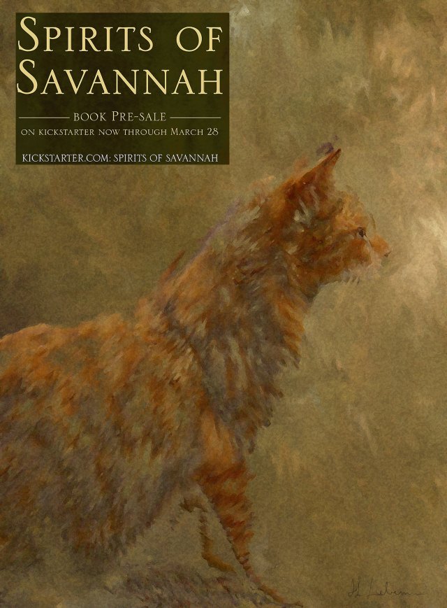 1279054_375100389298498_1843726797_o