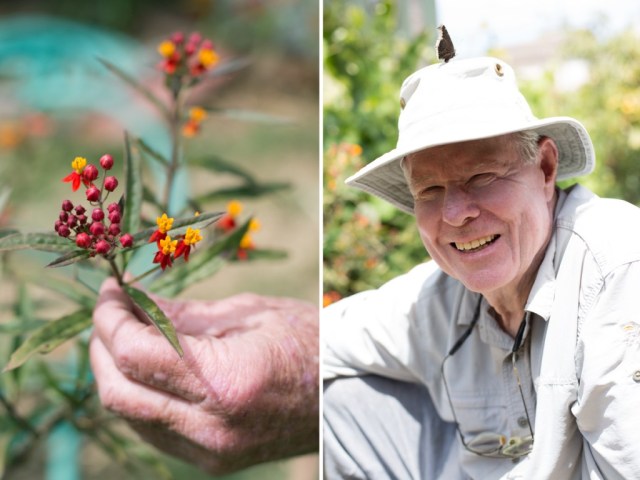 Matthew_Bowie_LA_Project_61-1024x768