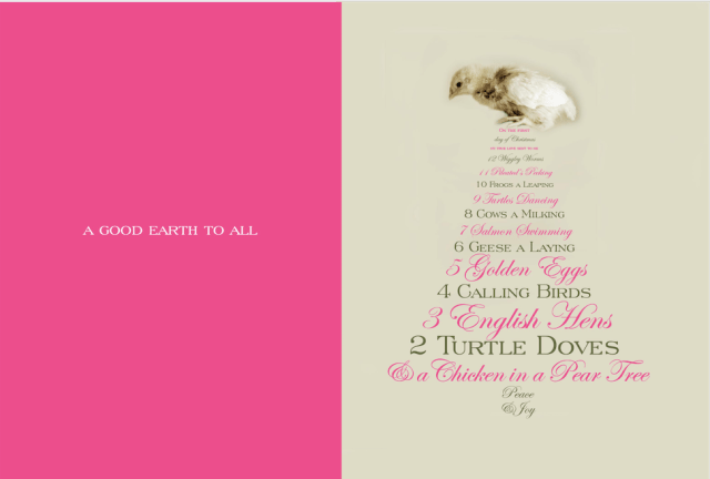 ©Lesley Ehlers Design