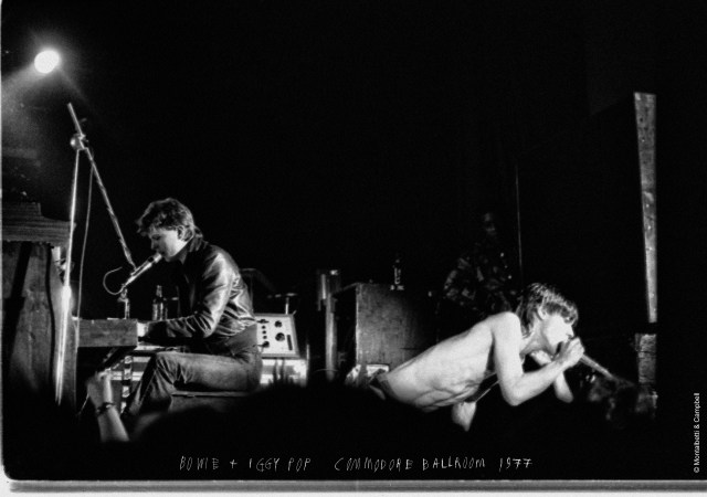 ©Montalbetti + Campbell